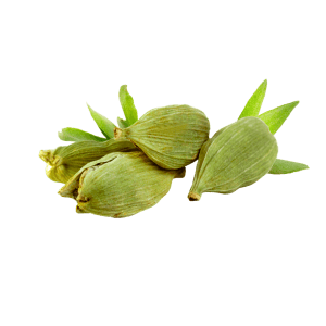 cardamom