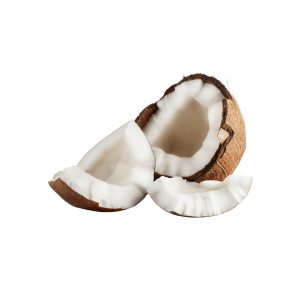 coconut