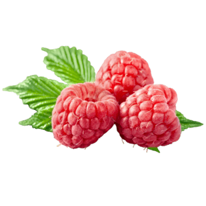 Raspberry